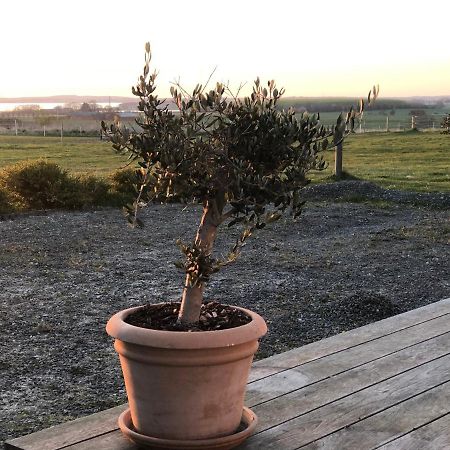 Country-Living With A Lovely View And Own Terrace, Entrance And Parking Roskilde Luaran gambar