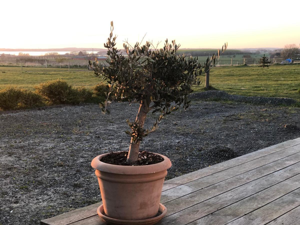 Country-Living With A Lovely View And Own Terrace, Entrance And Parking Roskilde Luaran gambar